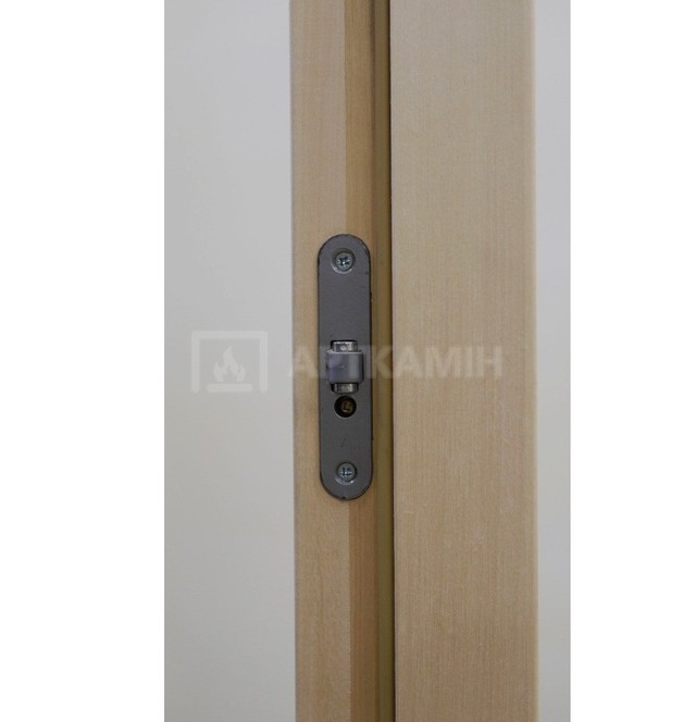 Стеклянная дверь для сауны Tesli Steel Sateen 70x200. Фото 6