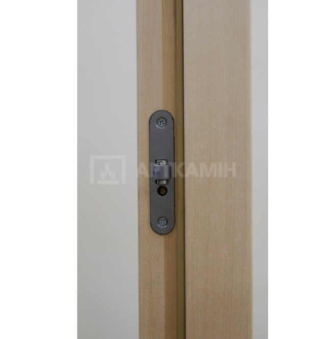 Скляні двері для сауни Tesli Steel 80x200. Фото 6
