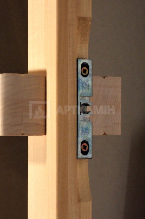 Скляні двері для сауни Tesli Reliable 70x190. Фото 4